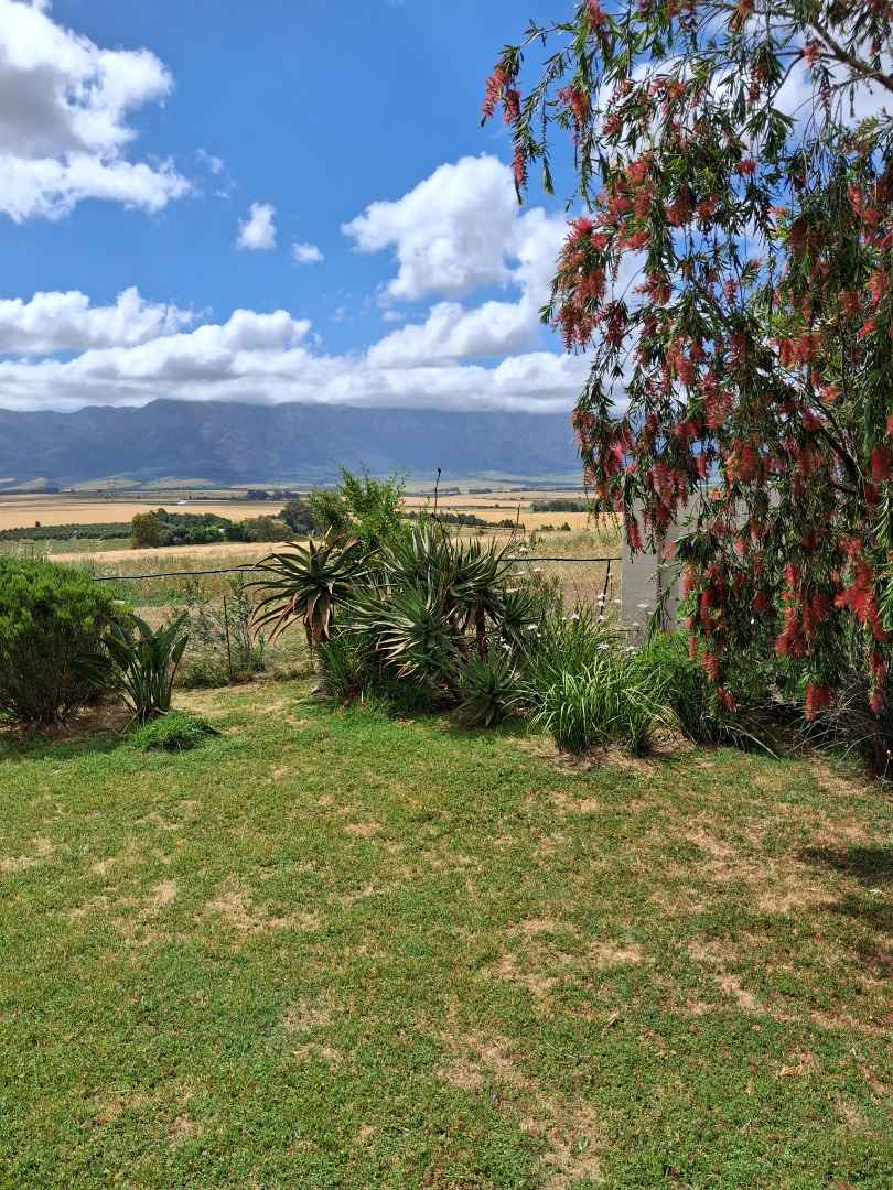 4 Bedroom Property for Sale in Tulbagh Western Cape